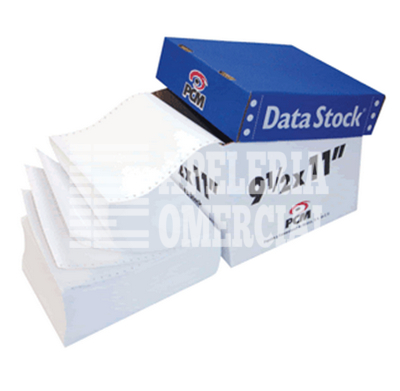 PAPEL P/COMPUT. 9 1/2 X 11 DE 1 T. C/3000 H